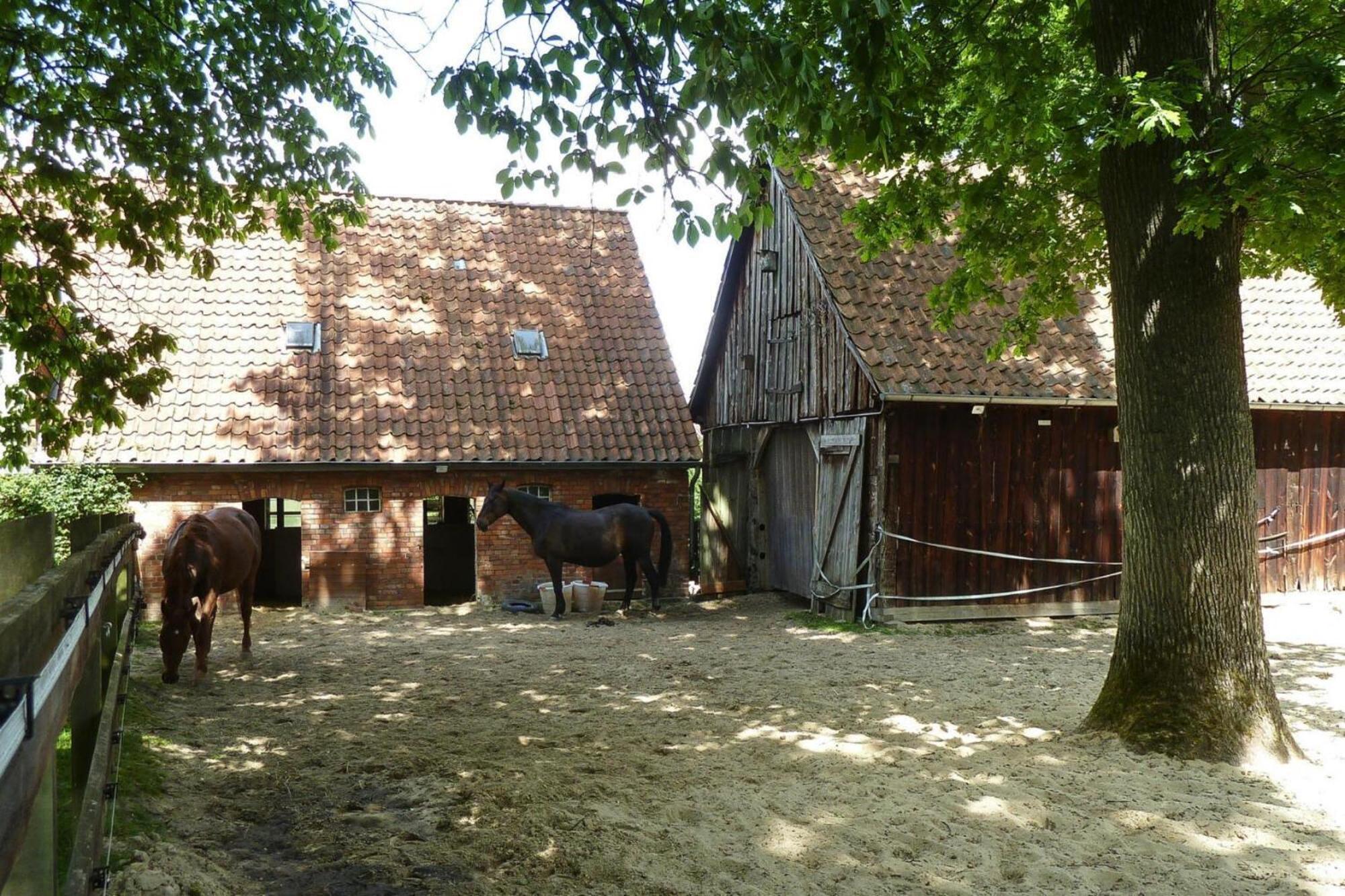 Ferienwohnung In Dorfmark Exteriér fotografie